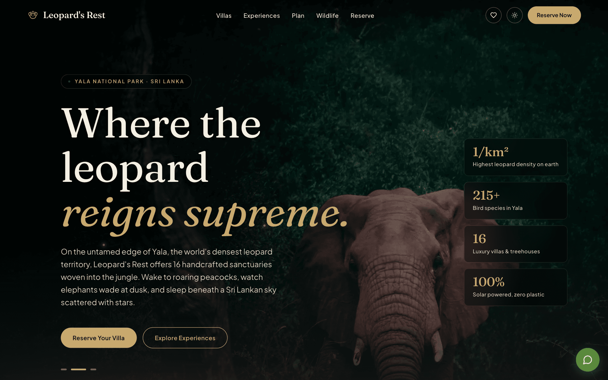 Leopard's Rest on desktop