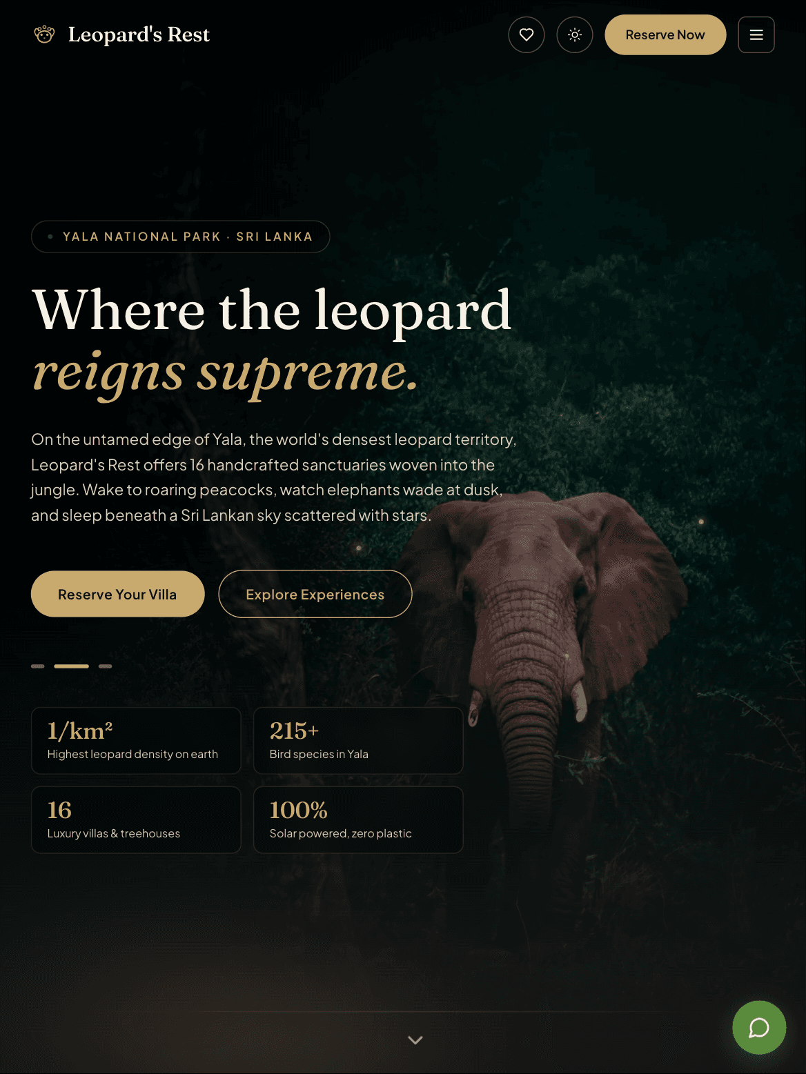 Leopard's Rest on tablet